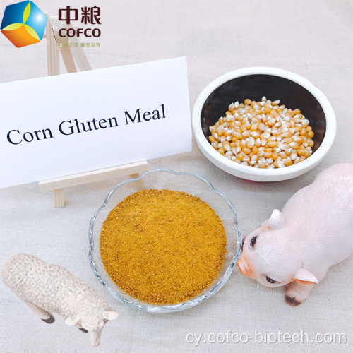 Prydau pryd glwten corn 60 protein